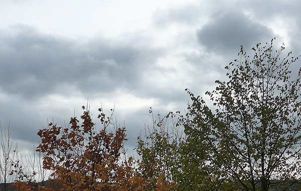 Erkältungszeit ist Herpeszeit Achtung Lippenherpes Viren im Herbst