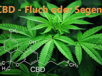 Hanf CBD Schmerzen Behandlung: Besonders bei Grüterlrose am Kopf und Körper durch Herpesviren